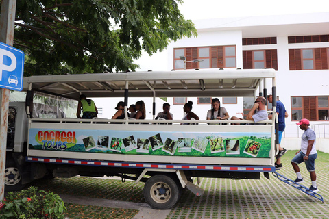 Combinatie: Damajagua en buggy in de stad Puerto Plata