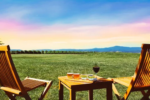 Melbourne: Tour del vino, della birra, del gin e del cioccolato della Yarra Valley con pranzo