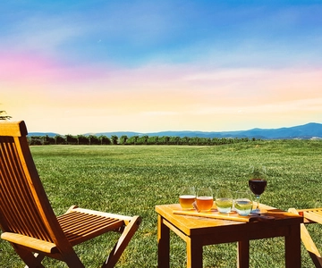 Melbourne: Yarra Valley Wine, Beer/Gin & Choc Tour w/ Lunch