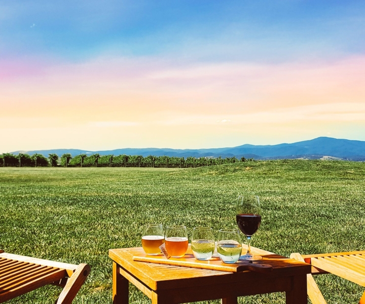 Melbourne: Yarra Valley Wines, Beer/Gin & Choc Tour + Lunch
