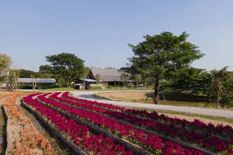 From Bangkok: Ayutthaya Temples & Gallery Boathouse Tour