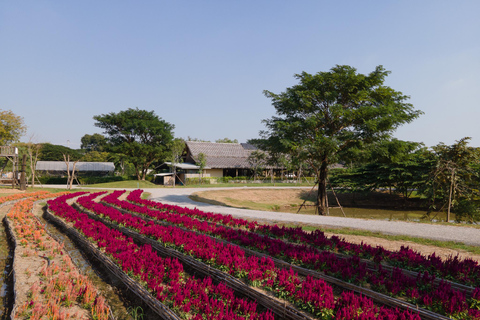 From Bangkok: Ayutthaya Temples & Gallery Boathouse Tour Ayuthaya Combi of Café, Temples & Gallery Boathouse Tour