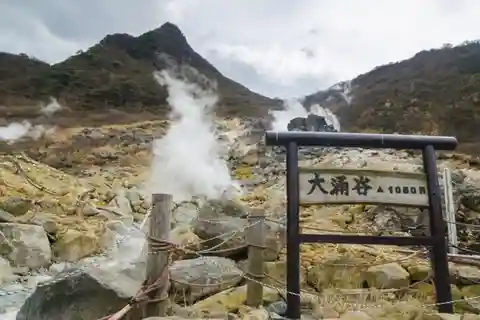 From Tokyo to Mt.Fuji ,Hakone to anywhere in japan