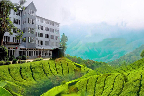 Kandy: Sandahirusaya Temple & Ceylon Tea Museum Tour