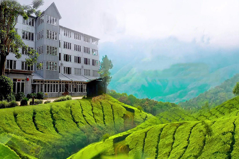 Kandy: Sandahirusaya Temple & Ceylon Tea Museum Tour