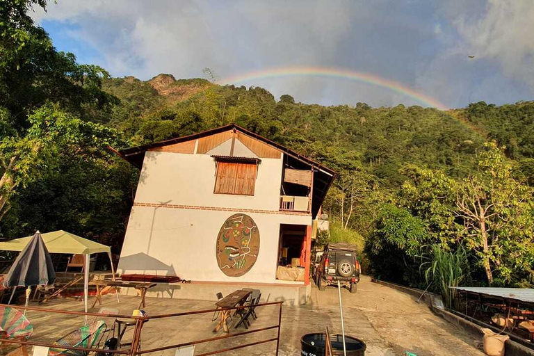 Excursión a las Cascadas, el Cacao y el Café