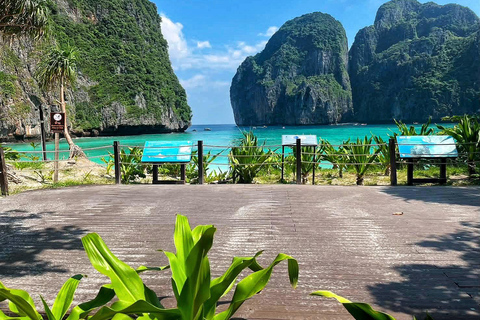 Phuket: Phi Phi Islands Speedboat Tour with Lunch