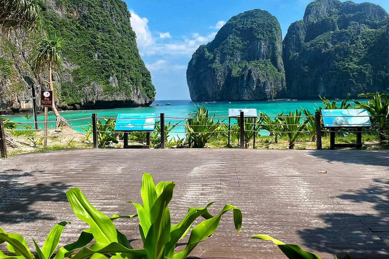 Phuket: Phi Phi Islands Speedboat Tour with Lunch