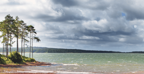 Mauritius: Private South Excursion with Entry Fees & Lunch