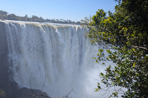 Victoria Falls: Historic Town Tour, Big Tree & Guided Walk
