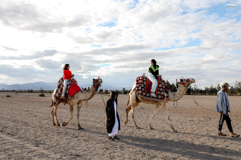 Passeio de camelo com pôr do sol e observação de estrelasServiço de busca no hotel em Hurghada