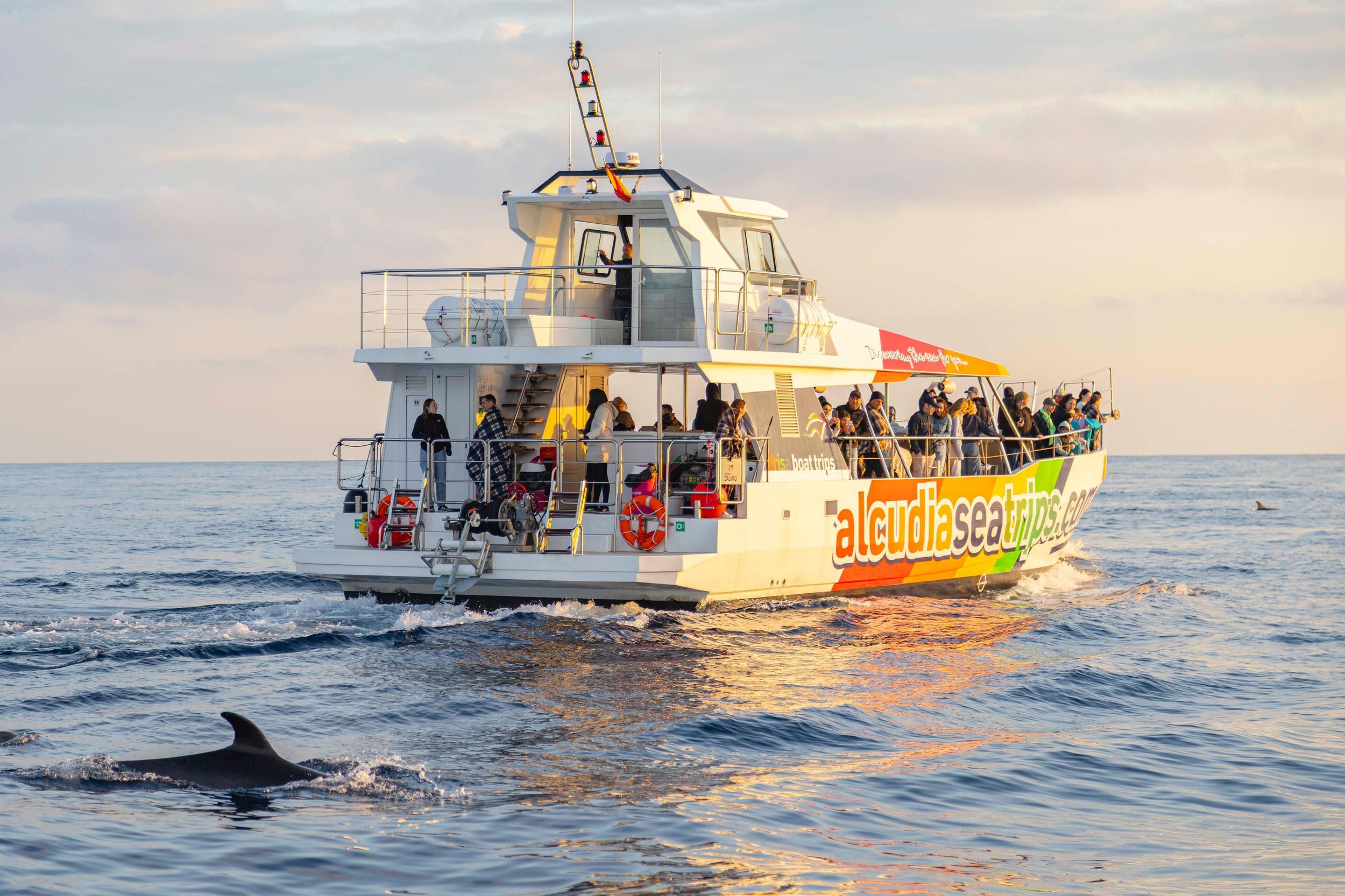 Alcudia: Crucero Aventura con Delfines