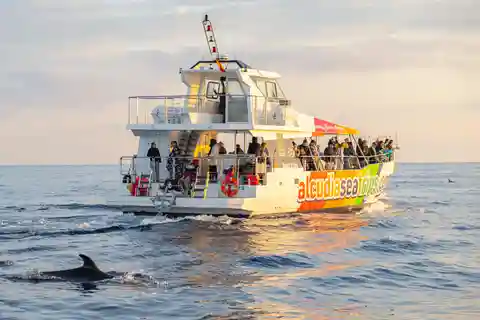 Alcudia: rejs z delfinami