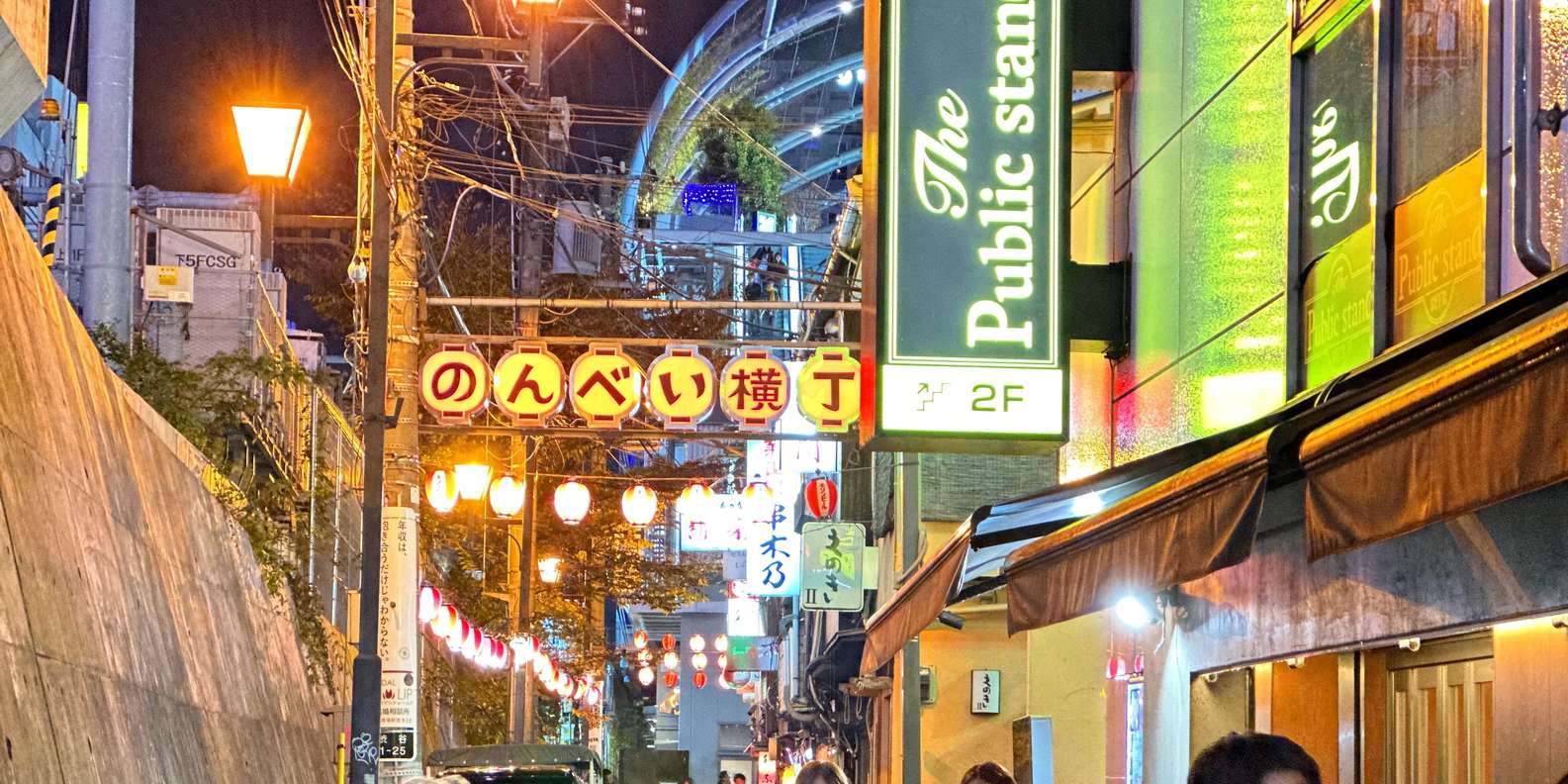 Shibuya food tour — Japanese dishes, izakayas, and Shibuya Scramble — image 7