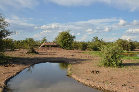 Victoria Falls: Siduli Hide Wildlife Viewing Experience