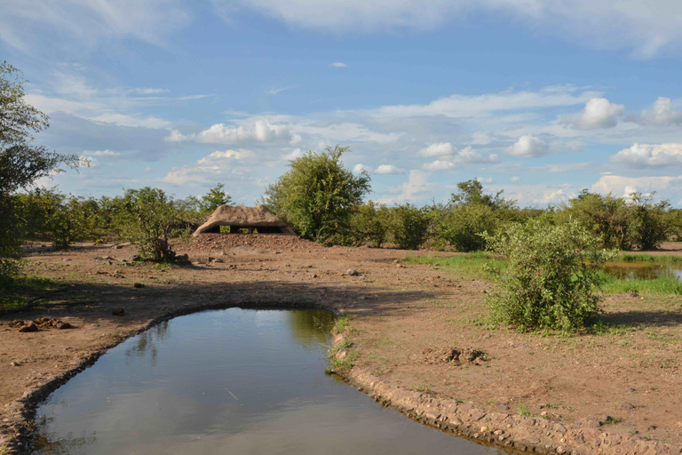 Victoria Falls: Siduli Hide Wildlife Viewing Experience