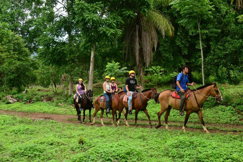 COSTA RICA:UPPTÄCK COSTARICAS VILDA DJUR-STRAND &amp; SKOG 2VECKOR