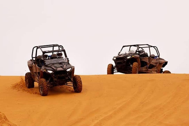 AlUla: Guided Dune Buggy Adventure with Driver