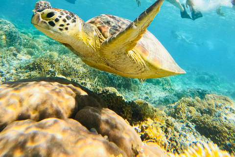 Gili Trawangan : excursion à vélo avec plongée en apnée et point de vueGili Trawangan : circuit à vélo avec plongée avec tuba et point de vue