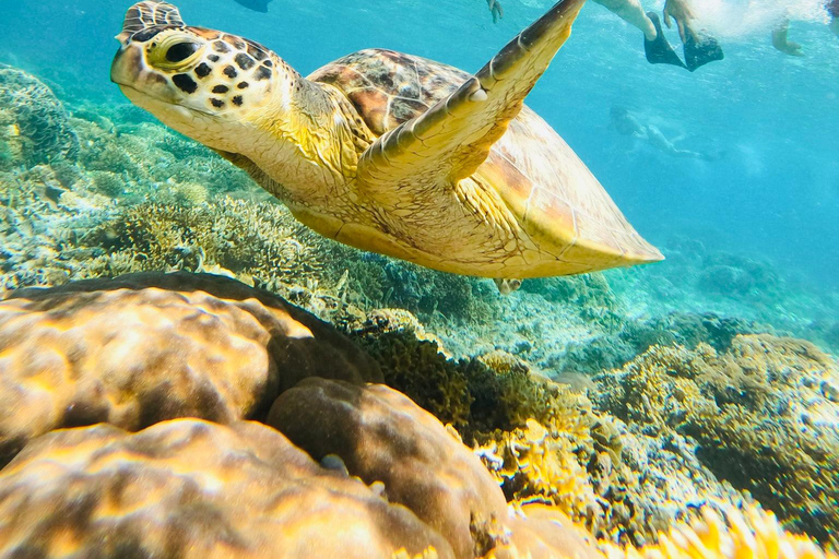 Gili Trawangan : excursion à vélo avec plongée en apnée et point de vueGili Trawangan : circuit à vélo avec plongée avec tuba et point de vue