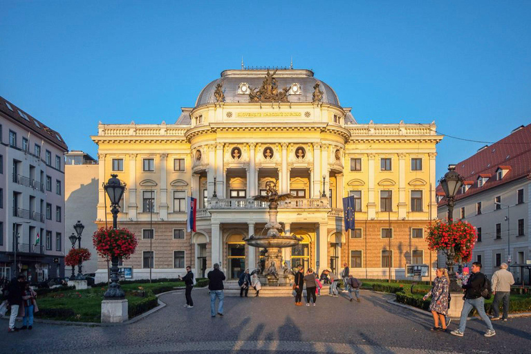 Desde Viena: Excursión de un día a lo más destacado de la ciudad de Bratislava