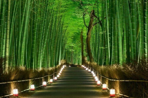 From Osaka: Nara Private Guided Day Trip with Flexible Tour