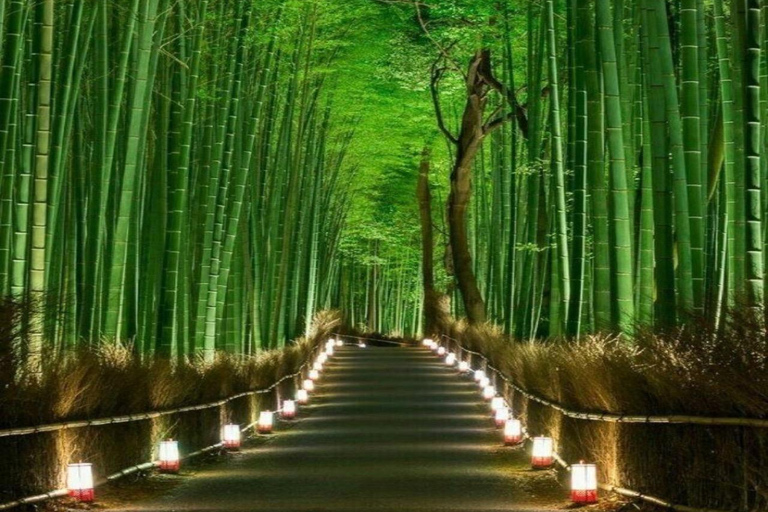 From Osaka: Nara Private Guided Day Trip with Flexible Tour