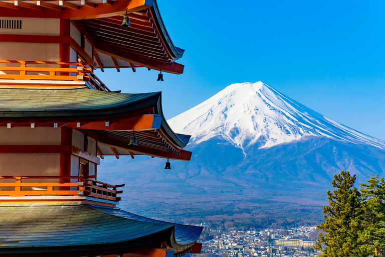 Mt. Fuji & Hakone Tour: Arakurayama, OshinoHakkai, Owakudani Tokyo Station | 7:30 AM Departure with English Guide