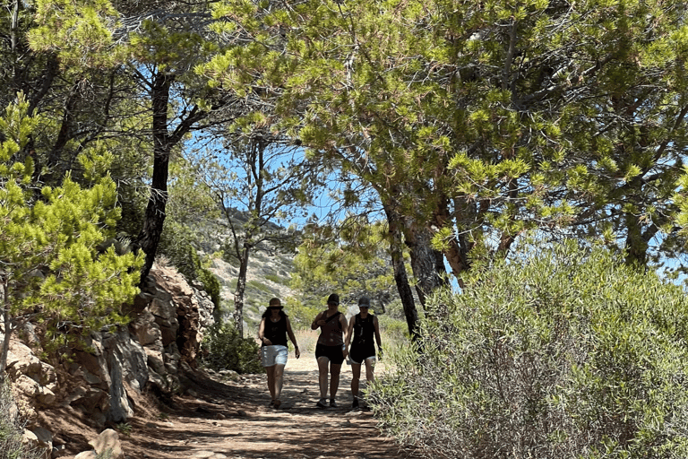 Majorca: Visit the Natural Park of Dragonera Island by boat