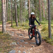 Rovaniemi: tour en bicicleta eléctrica de ruedas anchas por Ounasvaara con guía