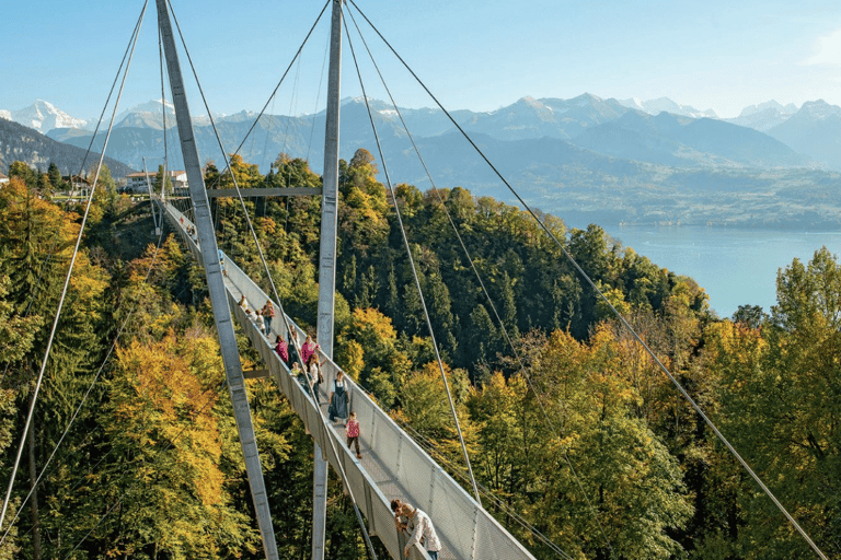 Från Interlaken: Kraschlandning på dig Privat dagsutflyktFrån Interlaken: Kraschlandning på dig privat resa