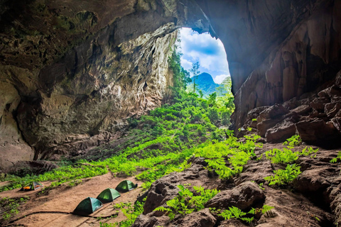 Hanoi: Thai Vi Temple or Tam Coc & Mua Cave & Hoa Lu & Cycle Hanoi: Ninh Binh, Hoa Lu, Tam Coc, Mua Cave, Buffet & Cycle