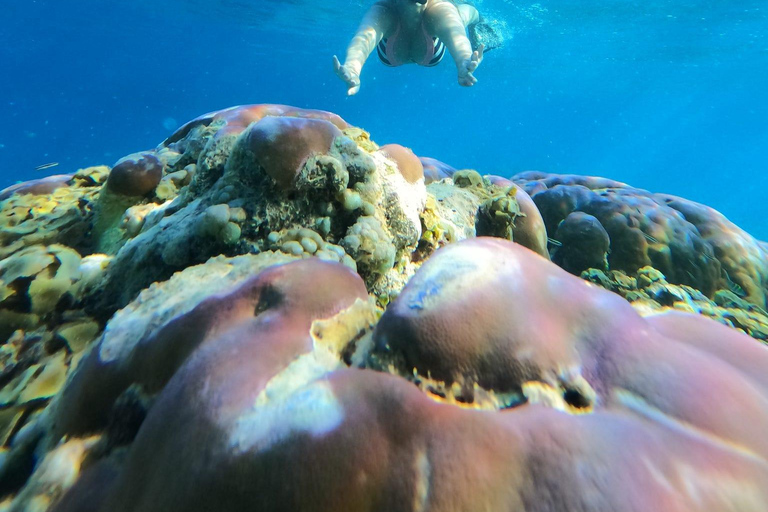 3 Gilis Snorkeling Tour Start Gili Air