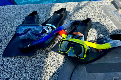 مغامرة الغوص مع سلحفاة وايكيكي