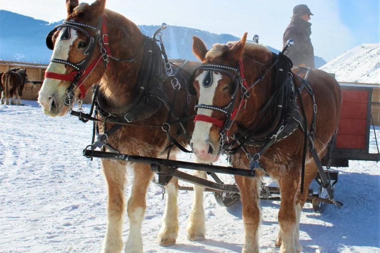 Jackson Hole: National Elk Refuge Sleigh Ride