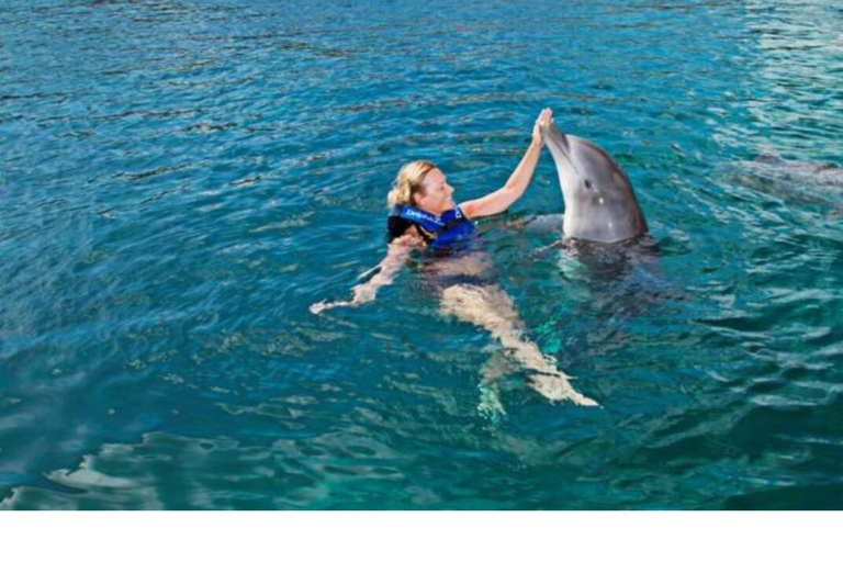 Punta Cana: Dolphin Swim with Bonus Sea Lion Show