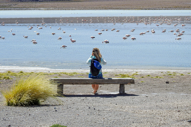 La Paz: 5-Day Uyuni Salt Flats Journey with Return ENGLISH-SPEAKING GUIDE