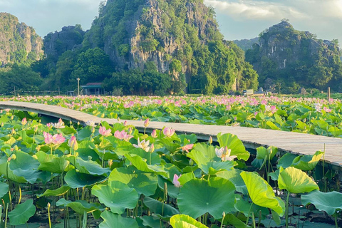 From Hanoi: Visit Hoa Lu & Trang An or Tam Coc & Mua Caves Group Tour