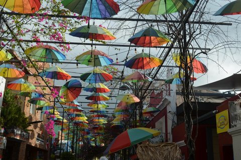 Puerto Plata: City Highlights & Beach Escape