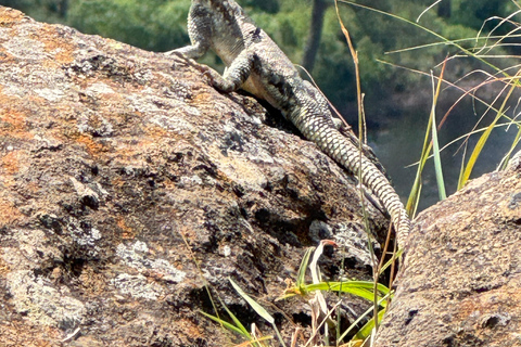 Lake Camping, Hell’s Gate, Quad bike & Crater Lake Naivasha