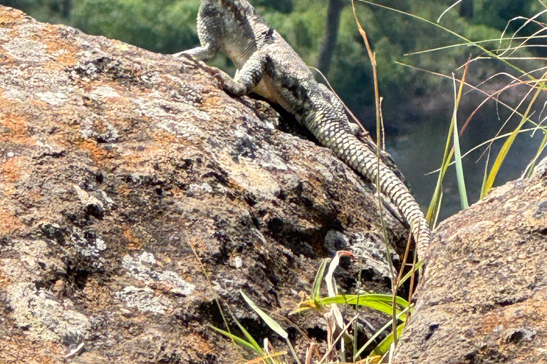Lake Camping, Hell’s Gate, Quad bike & Crater Lake Naivasha