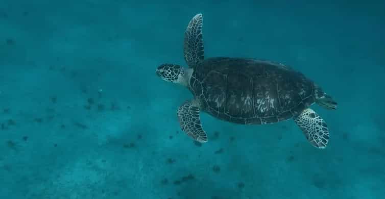 Croisière vers les plages du Sud et snorkeling
