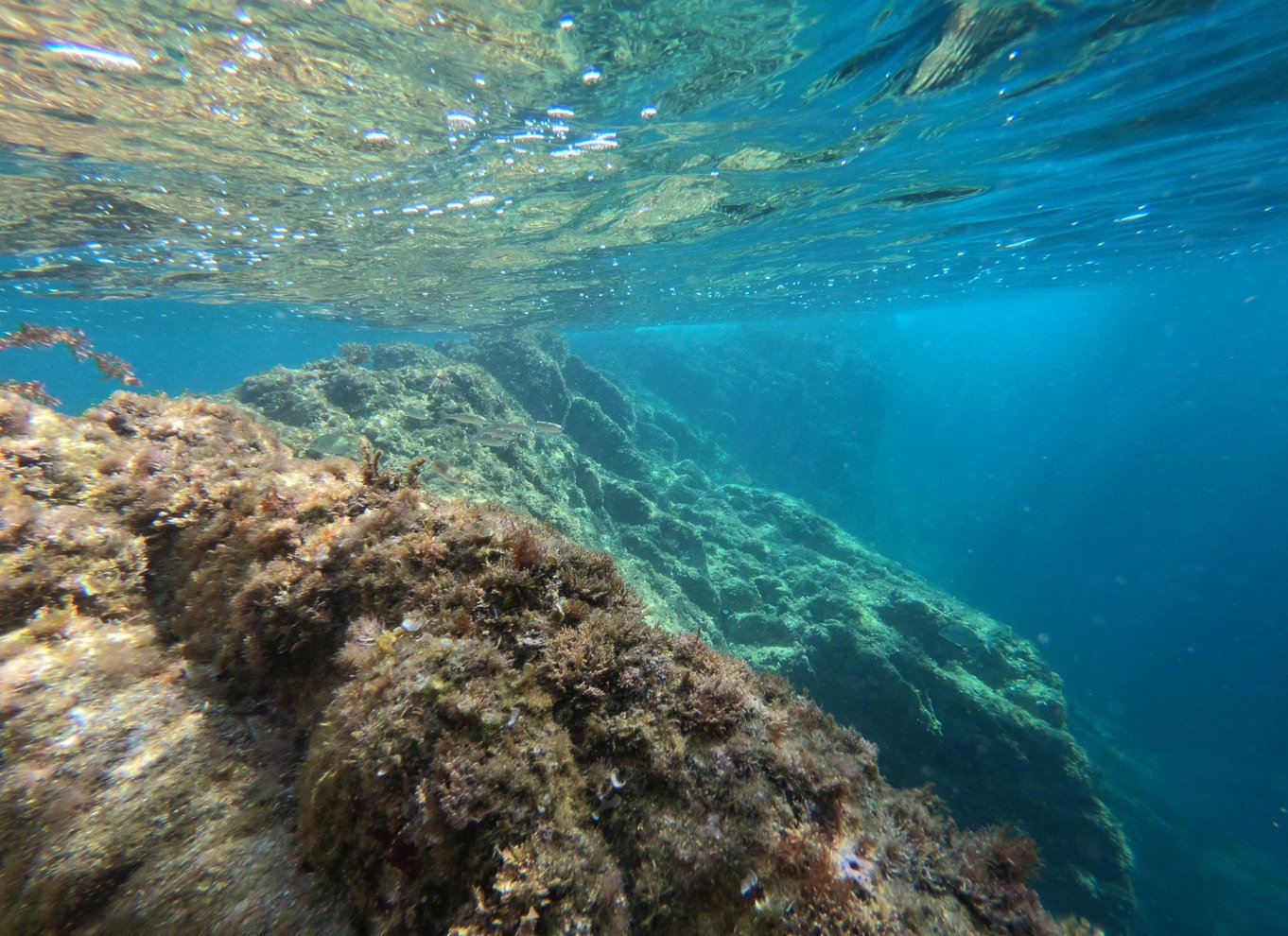 Costa Brava: Kajak- og snorkeltur i havets grotter