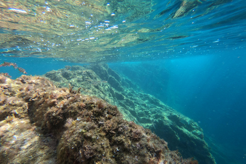 Costa Brava: Tour delle grotte marine in kayak e snorkeling