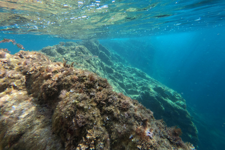 Costa Brava: Tour delle grotte marine in kayak e snorkeling