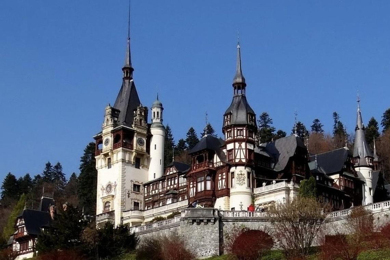 From Bucharest: Dracula Castle, Peles and Brașov Day Trip