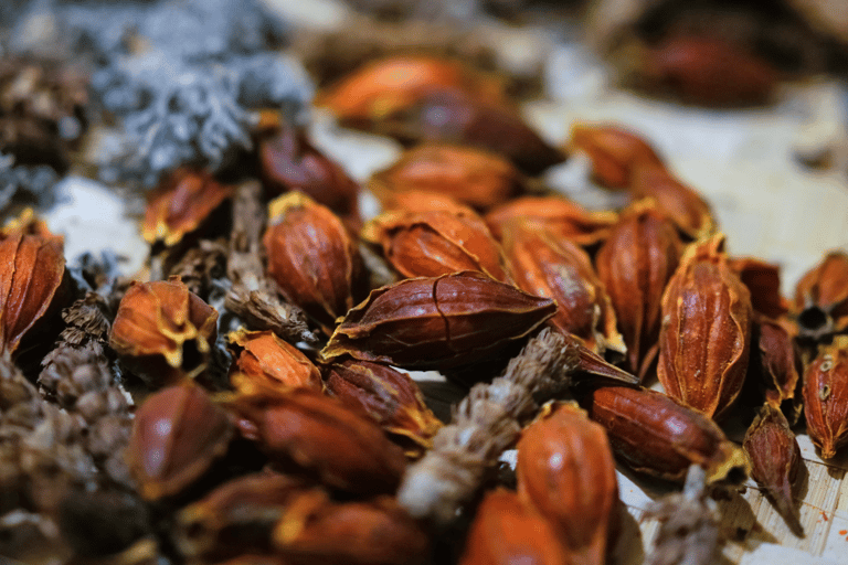 Guangzhou: Traditional Chinese Seasonal Herbal Bath