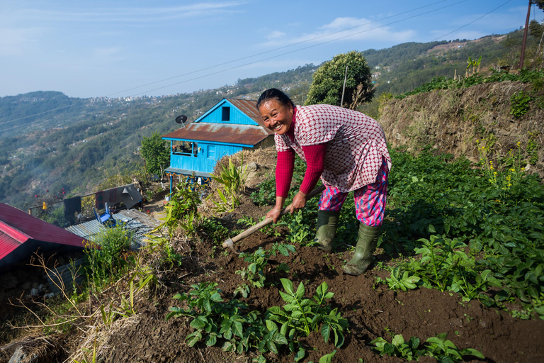 Pokhara: 2-Day Ghachok Village Tour with Homestay &amp; Hike