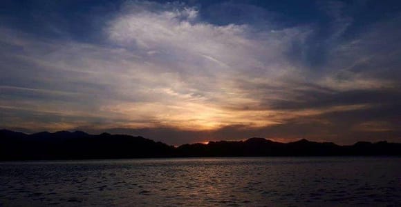Langkawi: Mangrove Night Safari with BBQ Dinner