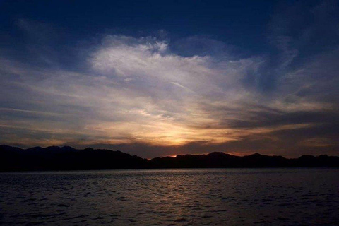 Langkawi: Mangrove Night Safari with BBQ Dinner